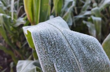 Dirce Reis registra 0,2ºC e registra uma das temperaturas mais baixas do Estado