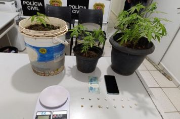 Homem é preso por tráfico de drogas em Auriflama após tentar dispensar entorpecentes durante patrulhamento