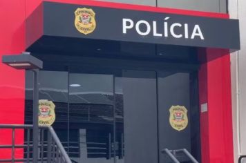 Cachorro vira-lata morre após ser agredido com golpes de capacete