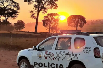Polícia apreende armas de fogo em fazenda em Guzolândia após denúncia anônima