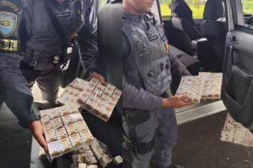 Homem é preso por transportar medicamentos contrabandeados avaliados em R$ 1 milhão em rodovia