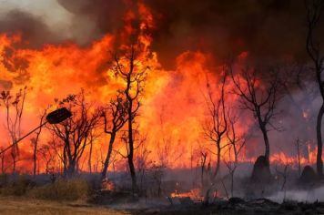 Calor extremo e clima seco elevam risco de incêndios em Auriflama e região