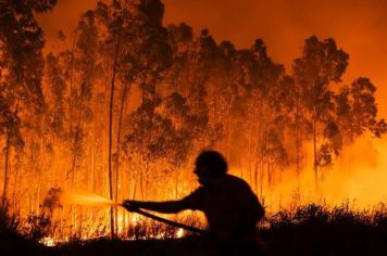 Homem morre durante incêndio em fazenda