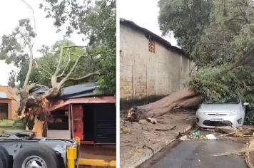 Chuva forte com ventania causa estragos e deixa moradores sem energia na região
