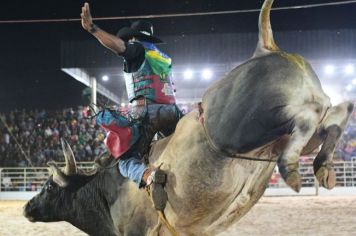 Montarias em touros da Festa do Peão serão comandadas pelo Circuito Rancho Primavera