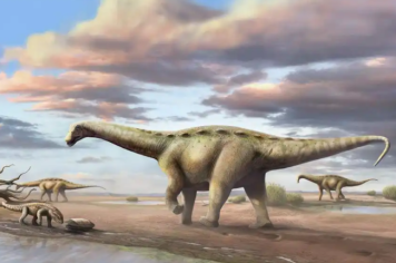 Pesquisadores encontram fósseis de dinossauros com infecção óssea na região