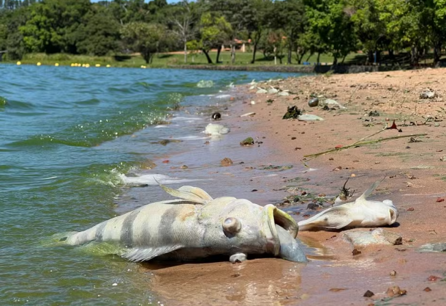 Poluição no Rio Tietê impede pescadores de trabalhar durante Quaresma