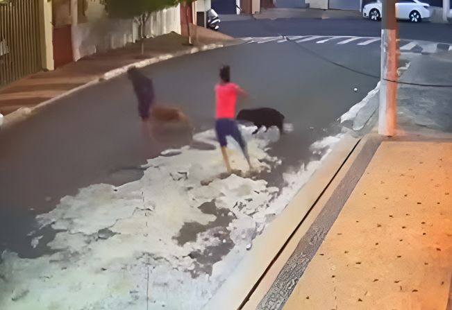 Menino atacado por pit bulls e que teve couro cabeludo arrancado passará por novas cirurgias, diz pai