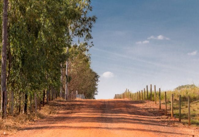 Justiça condena motorista a indenizar condutora após colisão traseira em estrada rural de Auriflama