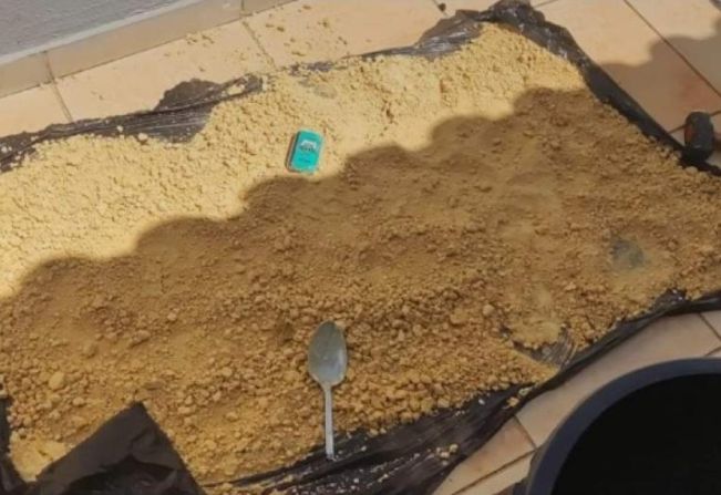 Homem preso em operação policial na região recebeu 862 votos para vereador em 2024