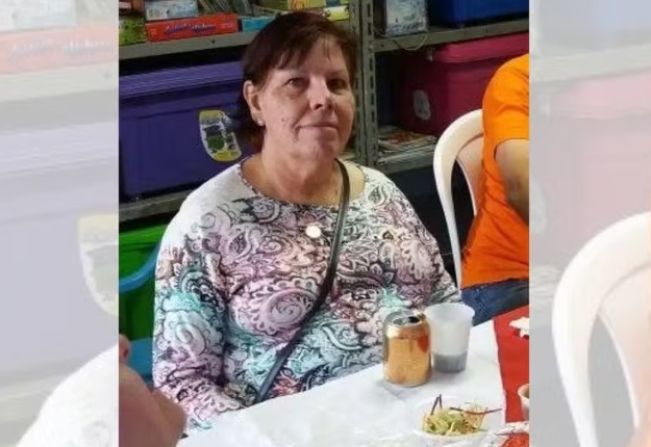 Mulher morre após ataque de abelhas dentro de casa; marido e filho ficam feridos