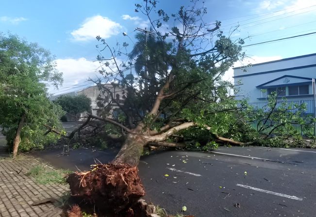 ‘Virada no tempo’: forte temporal com ventania provoca queda de árvores, postes e muros