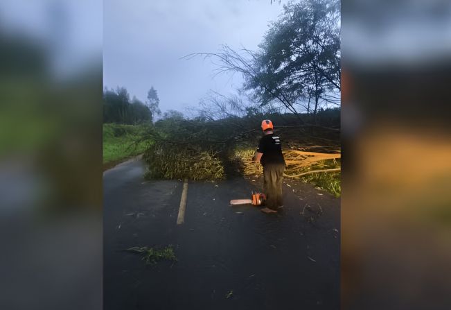 Fortes chuvas provocam estragos na região